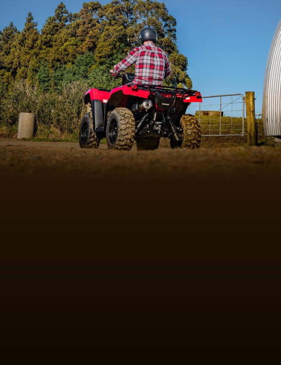 Independent Rear Suspension (IRS)