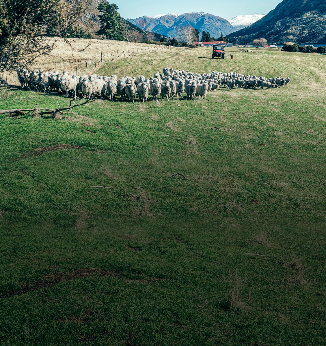 Why_Honda_Mobile_1600_x_1700